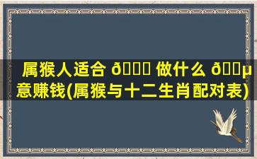 属猴人适合 🐅 做什么 🐵 生意赚钱(属猴与十二生肖配对表)